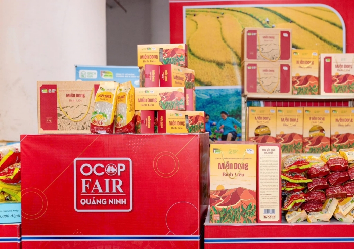 In-bao-bi-san-pham-ocop-mien-dong-binh-lieu_(4)_1732694881