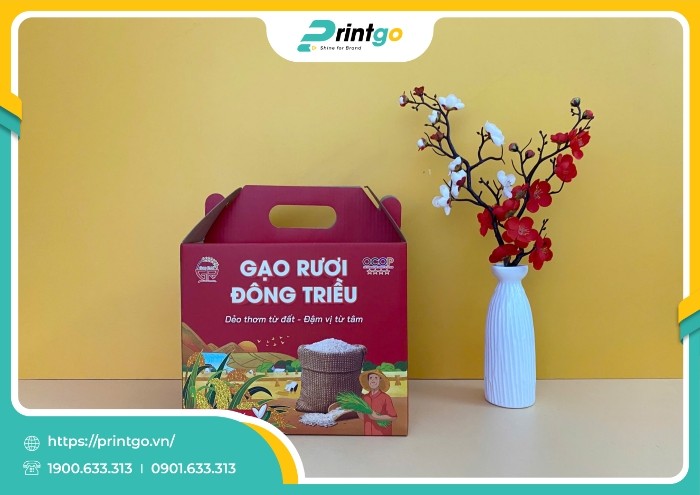 in-hop-song-quai-xach-dung-gao-ruoi-dong-trieu(2)_1737704591