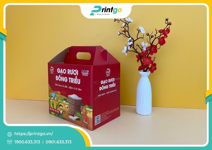 in-hop-song-quai-xach-dung-gao-ruoi-dong-trieu(3)_1737704593