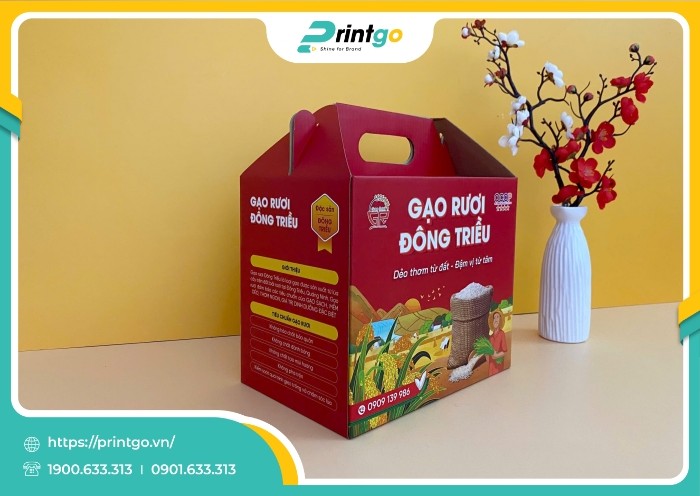 in-hop-song-quai-xach-dung-gao-ruoi-dong-trieu(4)_1737704593