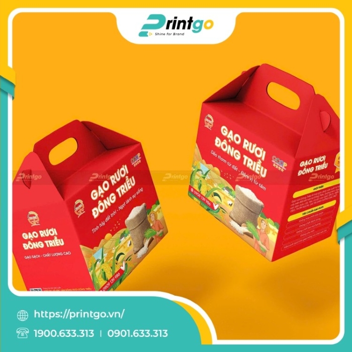 in-hop-song-quai-xach-dung-gao-ruoi-dong-trieu(6)_1737704929